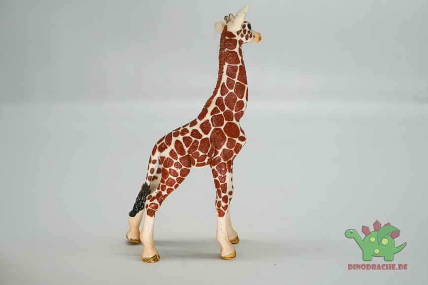 Schleich Afrika Bundle